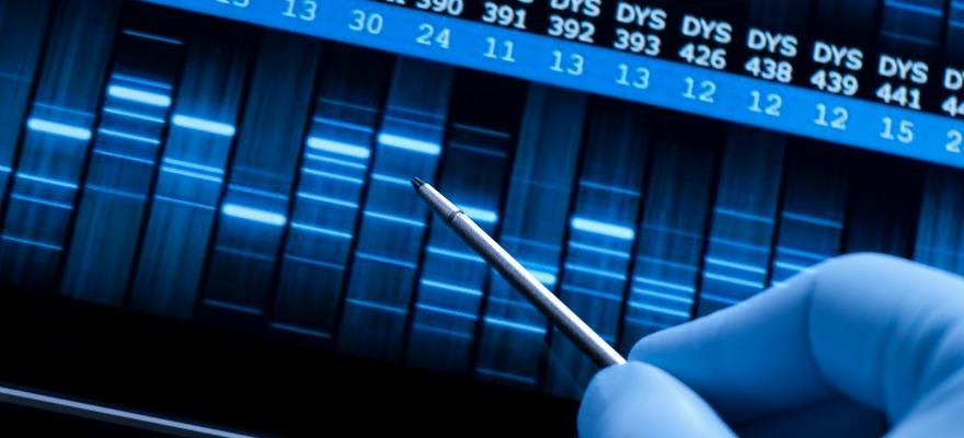 DNA profile Paternity Testing
