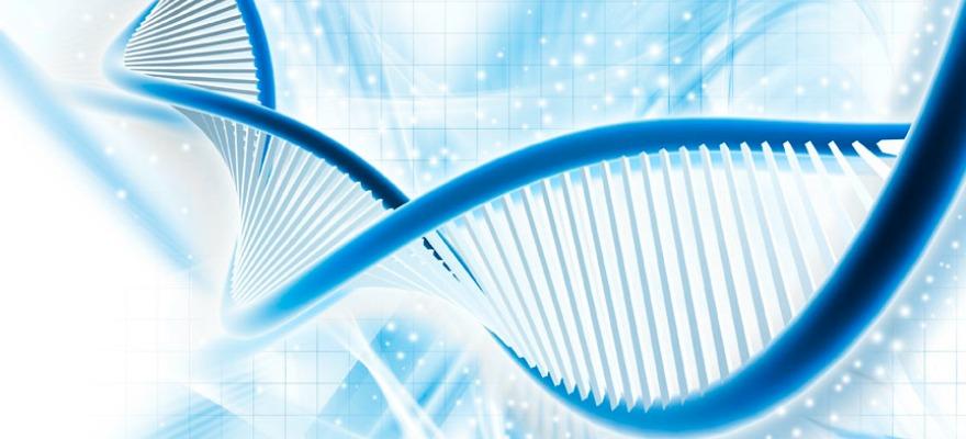 DNA Top DNA Testing Firms