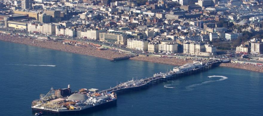 Brighton Brighton DNA Test