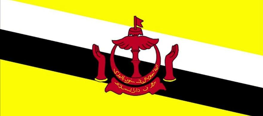 Brunei Seria DNA Test