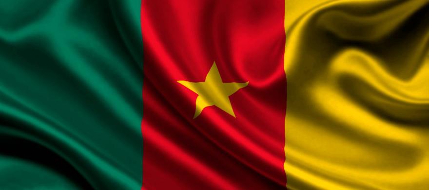 Cameroon Douala DNA Test
