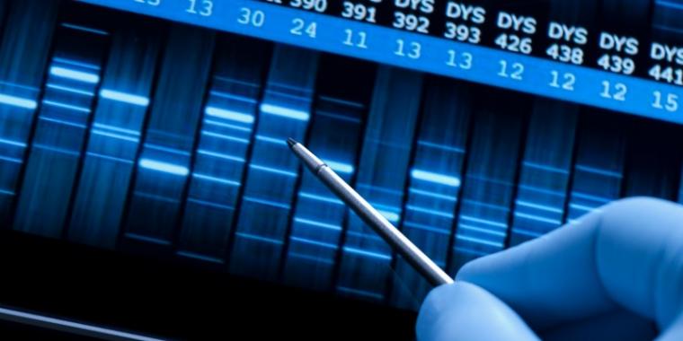 DNA profile Paternity Testing