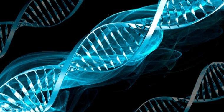DNA DNA Testing