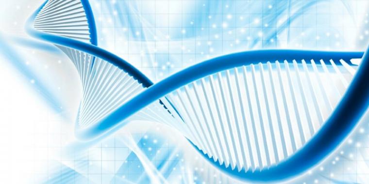 DNA Top DNA Testing Firms